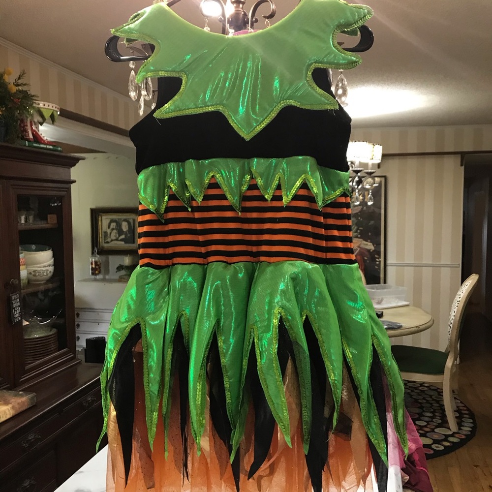 Halloween Witches costume
